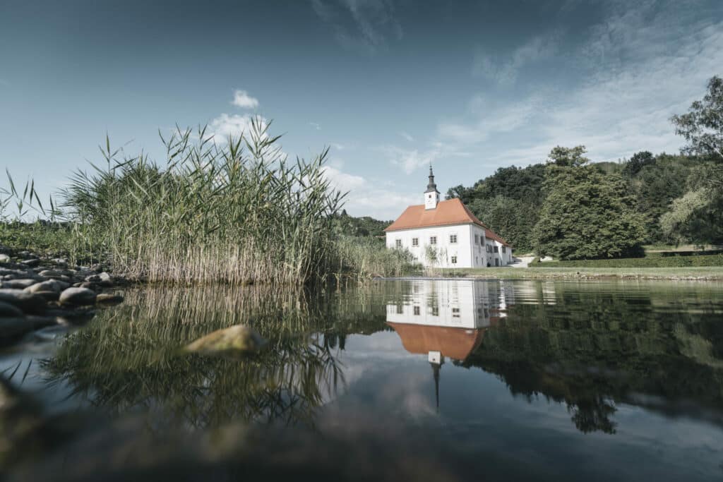DveriPAX©StefanLeitner 044 e1634723065779