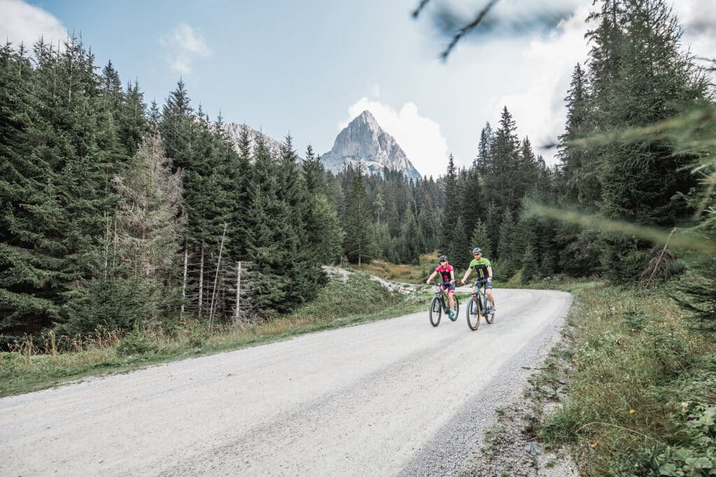 MTB c Thomas Sattler TVGesaeuse