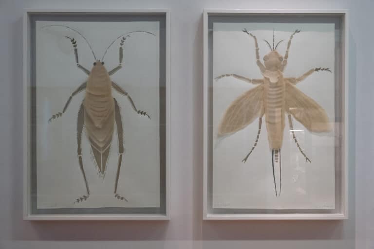 Stift Admont NHM Lisa Huber © Michael Braunsteiner
