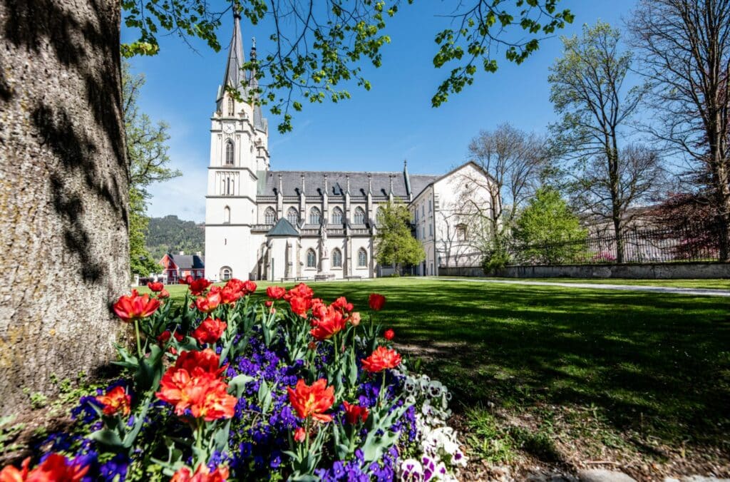 Chiesa abbaziale di Admont © Thomas Sattler